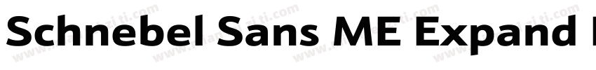 Schnebel Sans ME Expand Black Itali字体转换